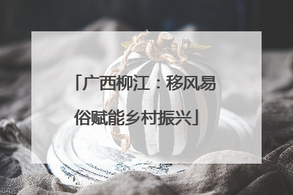广西柳江：移风易俗赋能乡村振兴