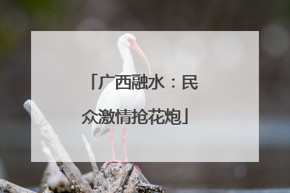 广西融水：民众激情抢花炮