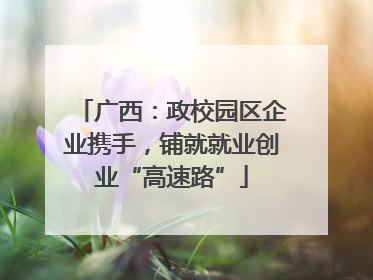 广西：政校园区企业携手，铺就就业创业“高速路”