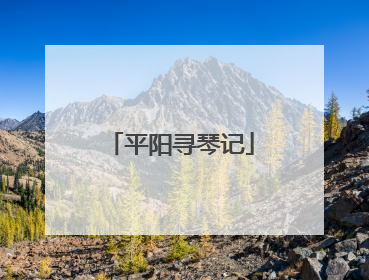 平阳寻琴记