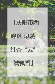 庆阳市西峰区 早熟红杏“云”端飘香