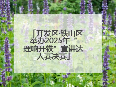开发区·铁山区举办2025年“理响开铁”宣讲达人赛决赛