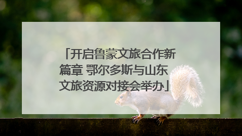 开启鲁蒙文旅合作新篇章 鄂尔多斯与山东文旅资源对接会举办