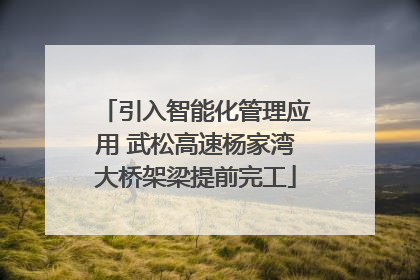 引入智能化管理应用 武松高速杨家湾大桥架梁提前完工