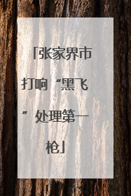 张家界市打响“黑飞”处理第一枪