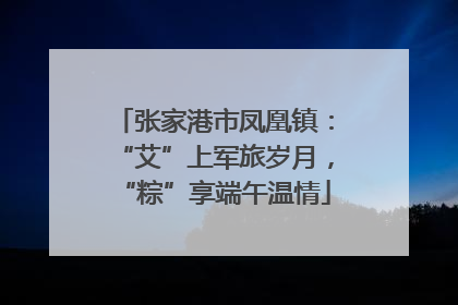张家港市凤凰镇：“艾”上军旅岁月，“粽”享端午温情