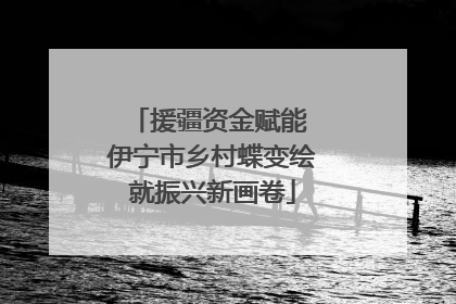 援疆资金赋能 伊宁市乡村蝶变绘就振兴新画卷