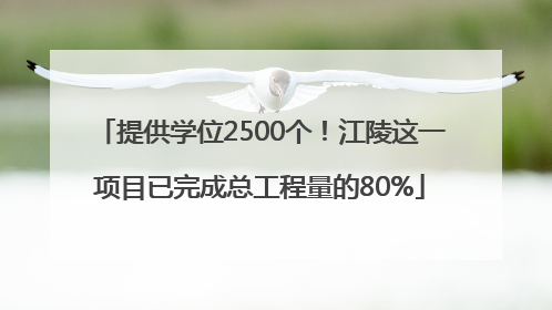 提供学位2500个！江陵这一项目已完成总工程量的80%