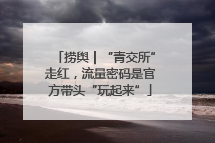 捞舆｜“青交所”走红，流量密码是官方带头“玩起来”