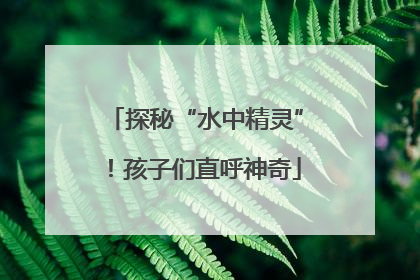 探秘“水中精灵”！孩子们直呼神奇