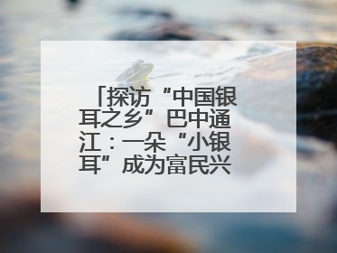 探访“中国银耳之乡”巴中通江：一朵“小银耳”成为富民兴县“大产业”