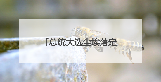 总统大选尘埃落定，波兰内部陷入亲欧VS疑欧之争