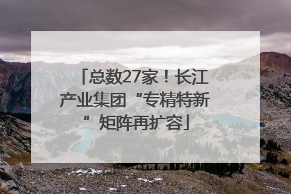 总数27家！长江产业集团“专精特新”矩阵再扩容