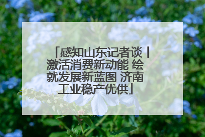 感知山东记者谈丨激活消费新动能 绘就发展新蓝图 济南工业稳产优供