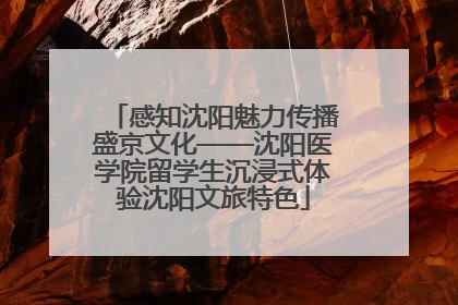 感知沈阳魅力传播盛京文化——沈阳医学院留学生沉浸式体验沈阳文旅特色