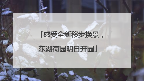 感受全新移步换景，东湖荷园明日开园