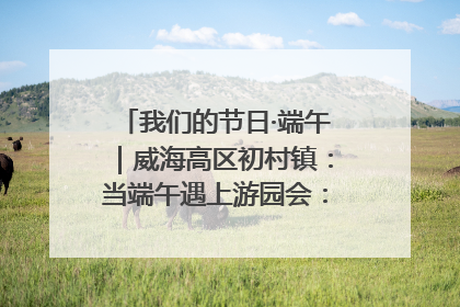我们的节日·端午｜威海高区初村镇：当端午遇上游园会：来一场“粽”享欢乐的趣味冒险！