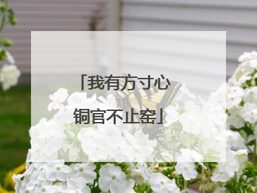 我有方寸心 铜官不止窑