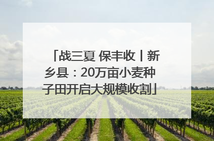 战三夏 保丰收丨新乡县：20万亩小麦种子田开启大规模收割