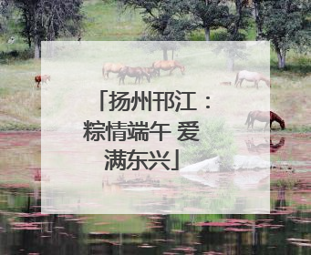 扬州邗江：粽情端午 爱满东兴