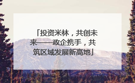 投资米林，共创未来——政企携手，共筑区域发展新高地