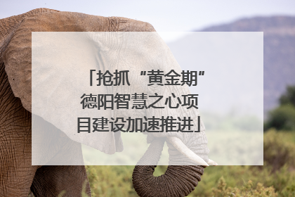 抢抓“黄金期” 德阳智慧之心项目建设加速推进