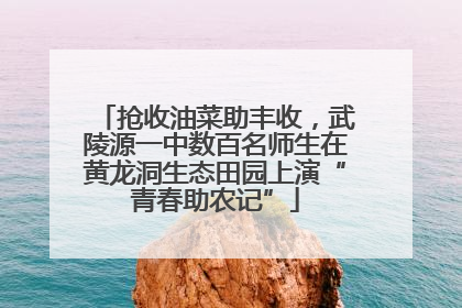 抢收油菜助丰收，武陵源一中数百名师生在黄龙洞生态田园上演“青春助农记”