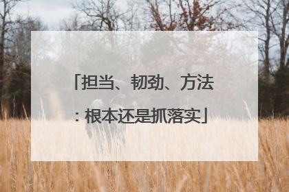 担当、韧劲、方法：根本还是抓落实