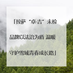 拉萨“卓·吉”未检品牌以法治为盾 温暖守护雪域青春成长路