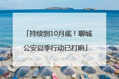 持续到10月底！聊城公安夏季行动已打响