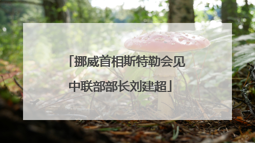 挪威首相斯特勒会见中联部部长刘建超