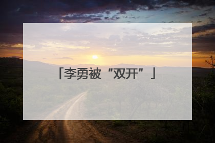 李勇被“双开”