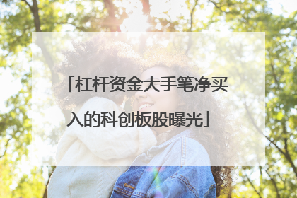 杠杆资金大手笔净买入的科创板股曝光
