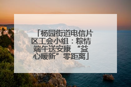 杨园街道电信片区工会小组：粽情端午送安康 “益心暖新”零距离