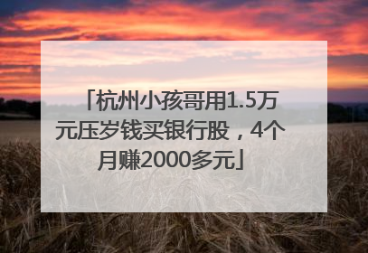 杭州小孩哥用1.5万元压岁钱买银行股，4个月赚2000多元