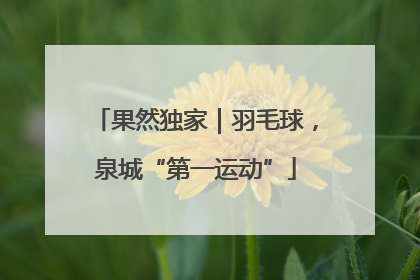 果然独家｜羽毛球，泉城“第一运动”