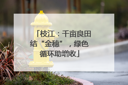 枝江：千亩良田结“金穗”，绿色循环助增收
