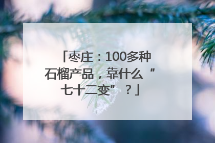 枣庄：100多种石榴产品，靠什么“七十二变”？
