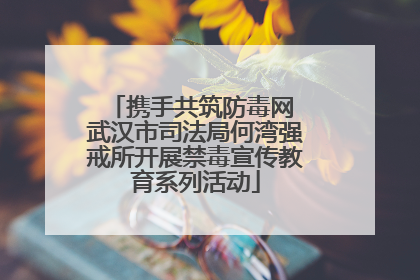 携手共筑防毒网 武汉市司法局何湾强戒所开展禁毒宣传教育系列活动
