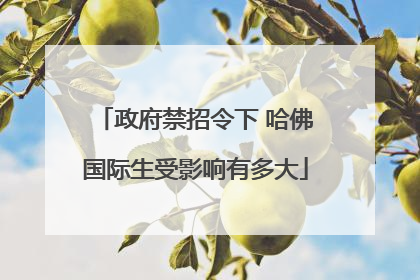 政府禁招令下 哈佛国际生受影响有多大