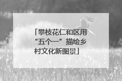 攀枝花仁和区用“五个一”描绘乡村文化新图景