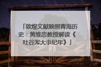 敦煌文献映照青海历史：黄维忠教授解读《吐谷浑大事纪年》