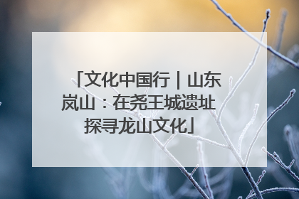 文化中国行｜山东岚山：在尧王城遗址探寻龙山文化