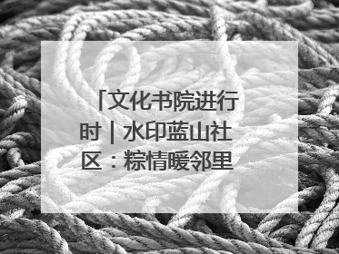 文化书院进行时｜水印蓝山社区：粽情暖邻里，端午共安康