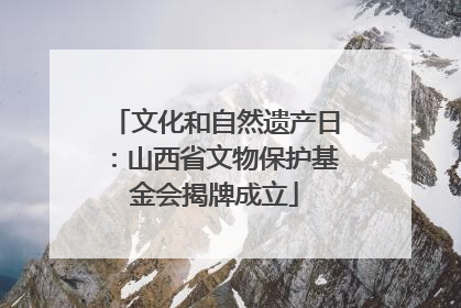文化和自然遗产日：山西省文物保护基金会揭牌成立