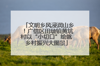 文明乡风浸润山乡！广信区田墩镇黄坑村以“小切口”绘就乡村振兴大图景