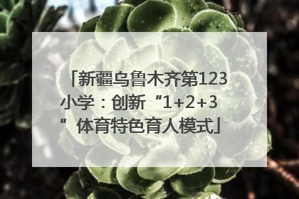 新疆乌鲁木齐第123小学：创新“1+2+3”体育特色育人模式