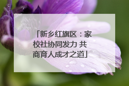新乡红旗区：家校社协同发力 共商育人成才之道