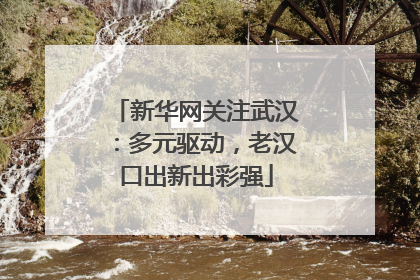 新华网关注武汉：多元驱动，老汉口出新出彩强