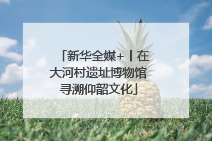 新华全媒+丨在大河村遗址博物馆寻溯仰韶文化
